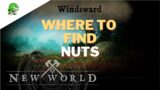 New World Where to find Nuts