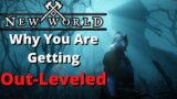 New World Why You Are Getting Out Leveled! Guide on Early Leveling!