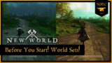 New World – Why you should care about World Sets! Before you start!