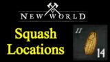 New World squash locations guide: best farming spots