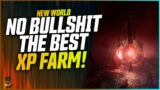 No Bullsh*t This is The Best XP Farm In New World