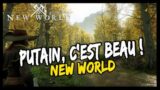 PUTAIN, C'EST BEAU ! NEW WORLD