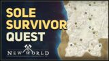 Sole Survivor New World