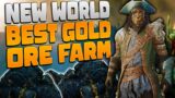 THE BEST GOLD FARM IN NEW WORLD! Best Mining Experience Farm! Ore & Ingots! | New World!