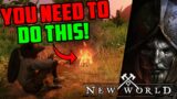The BEST Advice For New Players in New World