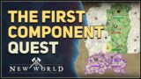 The First Component New World