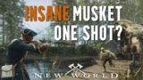 ULTIMATE Musket PvP Build / Guide (Talents, Stats, Perks, Gems, More) | New World