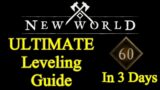 ULTIMATE New World leveling guide, max level in 3 days