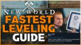 WORLD RECORD 1-60 | Fastest Leveling Guide | New World MMO