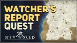 Watcher's Report New World