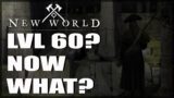 What To Do At Level 60 – New World