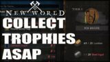 Why Everyone Should Use Trophies – New World