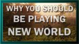 Why YOU should be playing NEW WORLD
