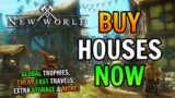 Why You NEED a House NOW in New World!