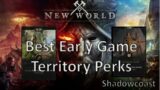 "Best" Early Game Territory Standing Perks in New World!