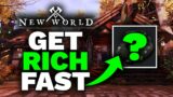 this item will make you rich in ANY server (New World)