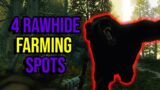 4 Rawhide Farming Spots  in New World for High and Low Pop Servers
