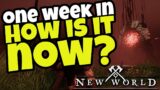 A Week Since Launch How Is It Now?: NEW WORLD MMORPG