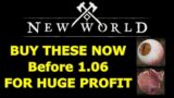 BUY THESE NOW before New World 1.06 goes live FOR HUGE PROFIT