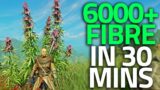 Best Place To Find FIBRE In New World – Crafting Material Guide – New World