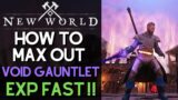 Best Void Gauntlet Build In New World | Insane Dps/Healing Big Pulls