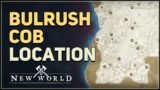 Bulrush Cob Location New World Windsward