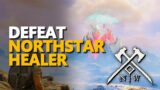 Defeat Northstar Healer New World