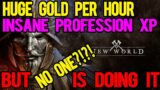 INSANE New World Gold Farm. Get in EARLY before EVERYONE! (3k+)