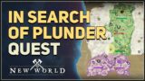 In Search of Plunder New World