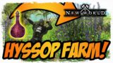Most efficient Hyssop farm for alkahest! | New World