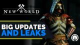 My Thoughts On the New World PTR Datamine Leaks and Future of the Game