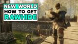 NEW WORLD How To Get RAWHIDE