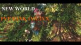 NEW WORLD MMO- (4K) PVP TANK 1VX/2VX (WARHAMMER + SWORD/SHIELD VOL14)
