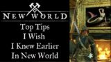 New World Beginners Tips ( I wish I knew from the start)