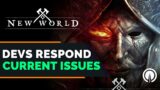 New World | Devs Respond to the Current Issues