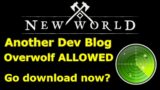 New World Devs give GREEN LIGHT on Overwolf mini map addon, download it now at your own risk