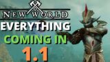 New World Everything Changes! Into The Void Patch Notes 1.1!