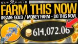 New World: FARM THIS NOW TO EARN 100000s Gold Coins / Money – SUPER FAST GOLD COIN MONEY FARM GUIDE