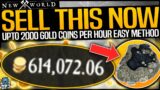 New World: FAST LITTLE MONEY EARNER – 2000 Gold Coins An HOUR EASY – Do This Now To Earn Fast Money