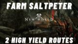 New World | Farm Saltpeter | Gunpowder | Farming Routes | KeoChuChu