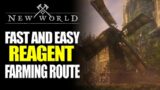 New World Fast And Easy Reagent Farming Route