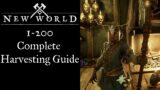 New World Gatherer Mini – Series Ep-2 Complete Harvesting guide 1-200