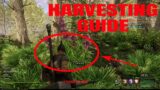 New World – Harvesting Guide