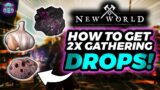 New World: How To Get Double Drops while Gathering (2x Void ore)