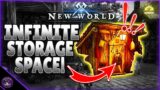 New World – Infinite Storage Space!