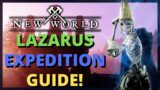 New World Lazarus Instrumentality Full Dungeon Guide!