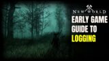 New World MMO – Early Game Logging Guide
