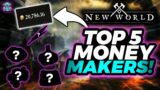 New World Money Making Guide Patch 1.1 (Top 5 Money Makers)