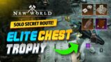 New World Secret Chest Farm Route SOLO ! Insane Money for Solo Player!