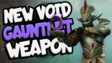 New World Void Gauntlet BIG Damage Build!